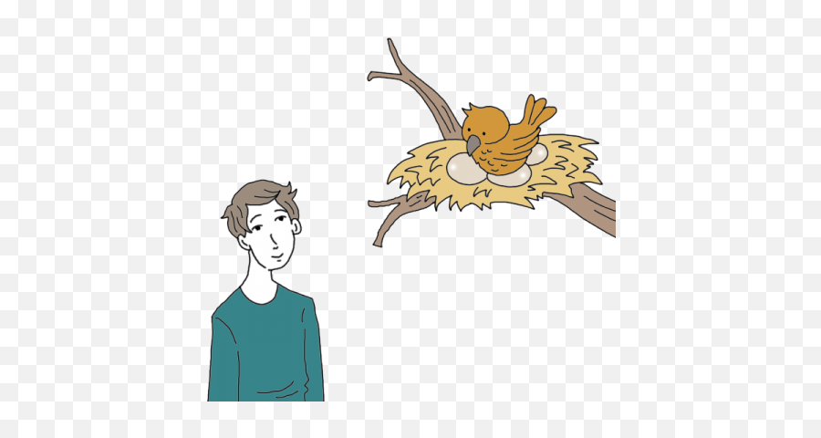 Download Birds Nest Tea Leaf Dictionary - Bird Nest Full Clip Art Png,Bird Nest Png