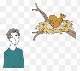 Download Birds Nest Tea Leaf Dictionary - Bird Nest Full Clip Art Png,Bird Nest Png