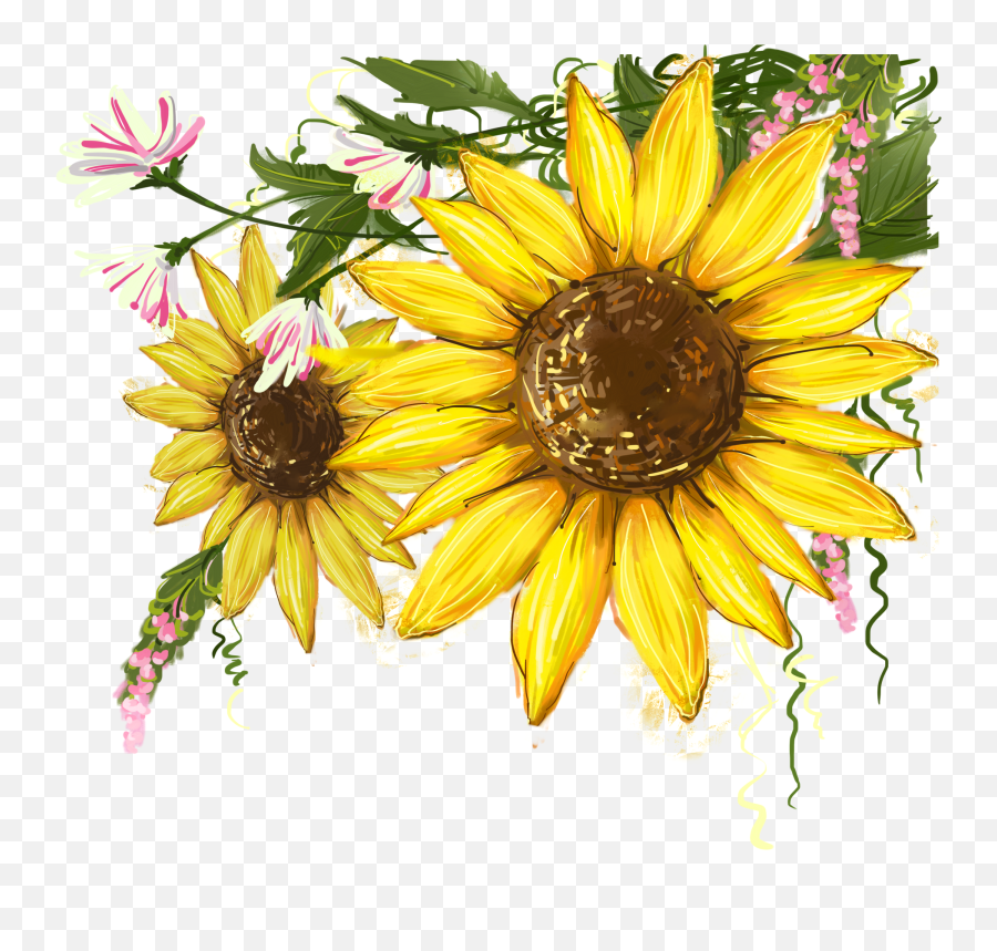 Library Of Sunflower Watercolor Svg Royalty Free Png Sunflower Watercolor Clipart Sunflower Transparent Background Free Transparent Png Images Pngaaa Com