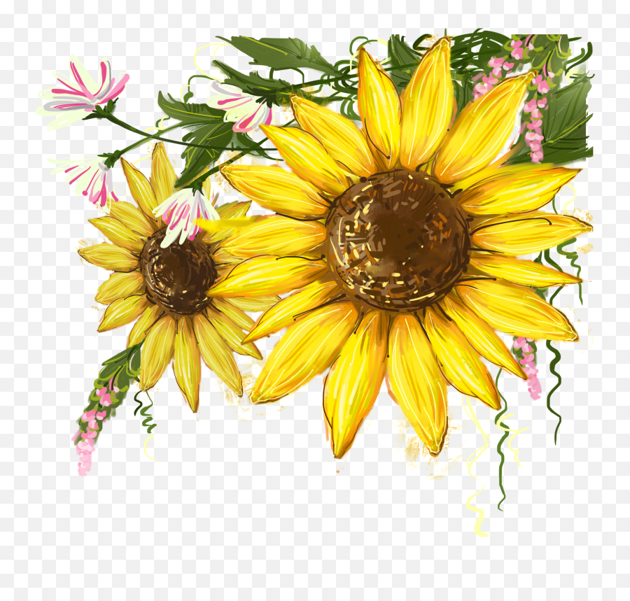 Free Free 310 Sunflower Transparent Svg SVG PNG EPS DXF File