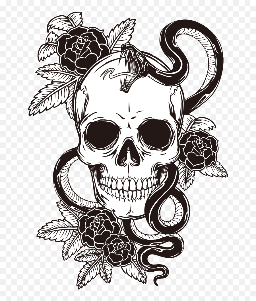 Raiders Logo Skull  गदन फट  ethelin  फट शयर छवय