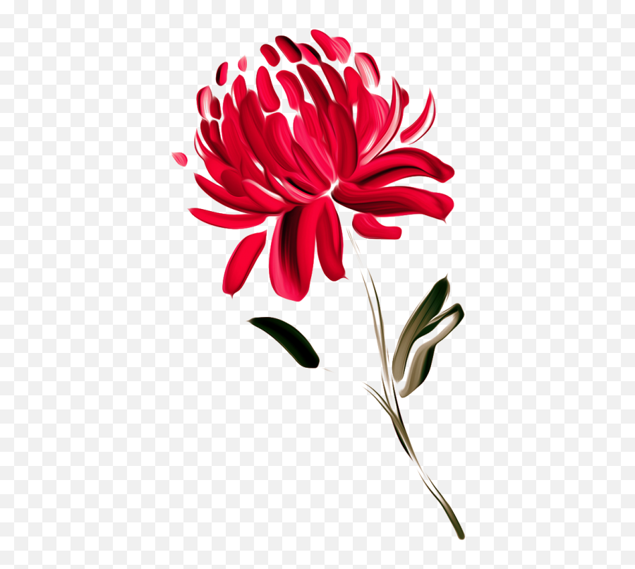 Australia Waratah Painted - Waratah Flower Painting Png,Chrysanthemum Png