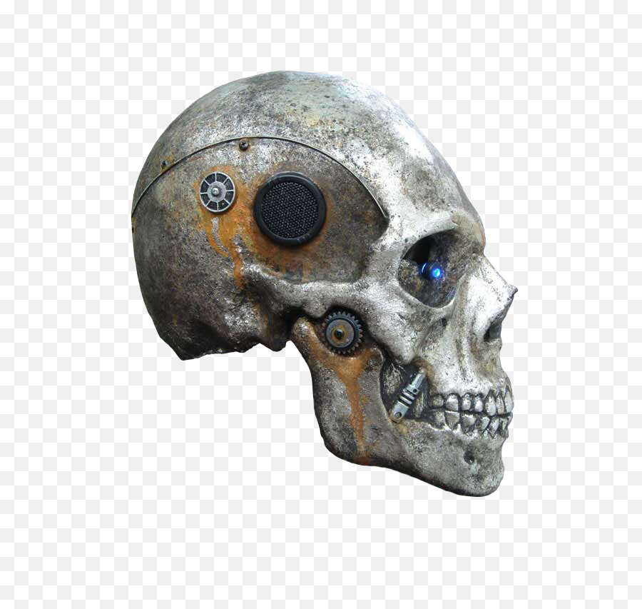 Download Skeleton Head Png Photo - Face Kankal Png,Skeleton Head Png