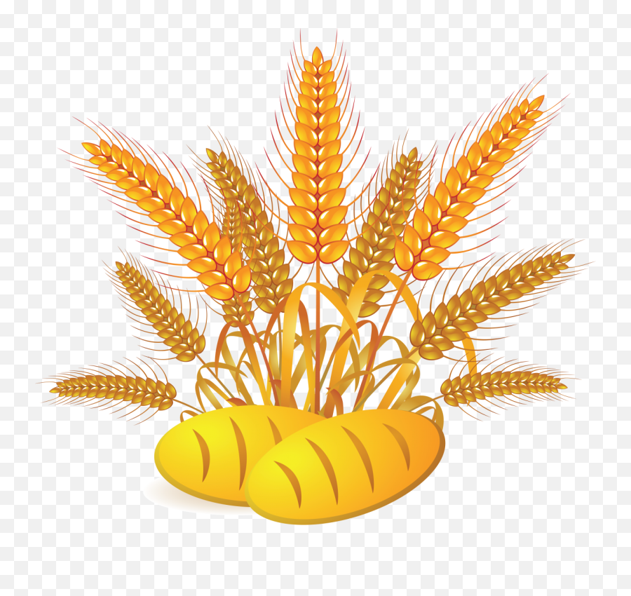 Wheat Png - Vector Bread Label Design,Wheat Png