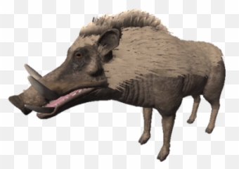 The - Ancestors The Humankind Odyssey Warthog Png,Warthog Png