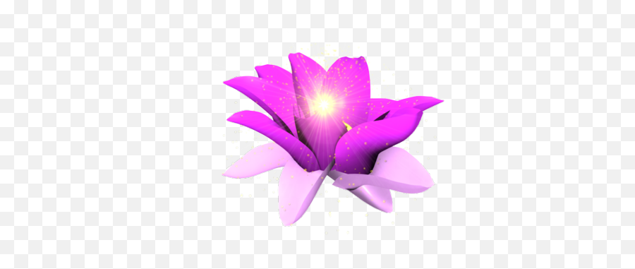 Purple Glow Flower Psd Vector Graphic - Transparent Glowing Flowers Png,Purple Glow Png