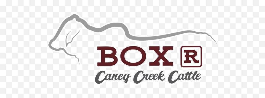 Box R Caney Creek Cattle - Language Png,Cattle Brand Logo