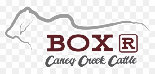 Box R Caney Creek Cattle - Language Png,Cattle Brand Logo