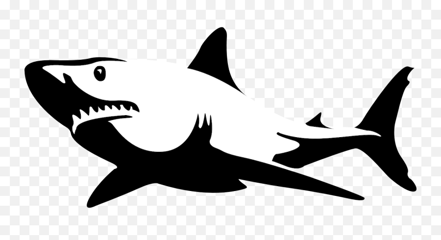 Shark Silhouette Transparent U0026 Png Clipart Free Download - Ywd Shark Silhouette,Fin Png