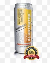 Adobe Illustrator 2020 Fundamentals Hands - on beginner training Best Price png
