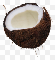 Png Bonzi Buddy 2 Image - Coconut