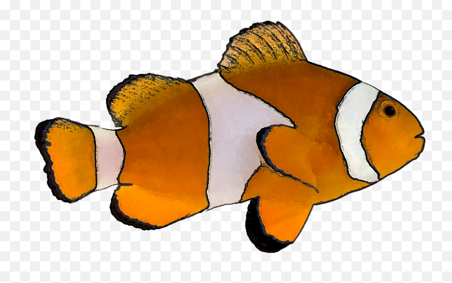 Finding Nemo Png Picture Arts - Tropical Fish Fish White Background,Nemo Png