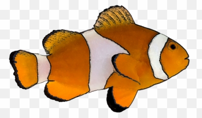 Finding Nemo Png Picture Arts - Tropical Fish Fish White Background,Nemo Png