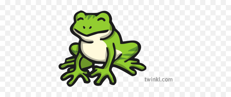 Frog Icon Illustration - Frog Twinkl Png,Frog Icon Png
