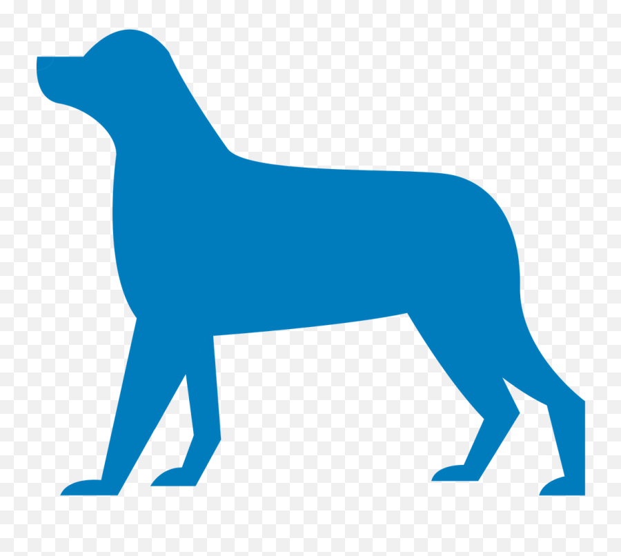 Client Instructions U2013 Pets Alive - Arthritis In Dogs Uk Png,Cat Lick Icon