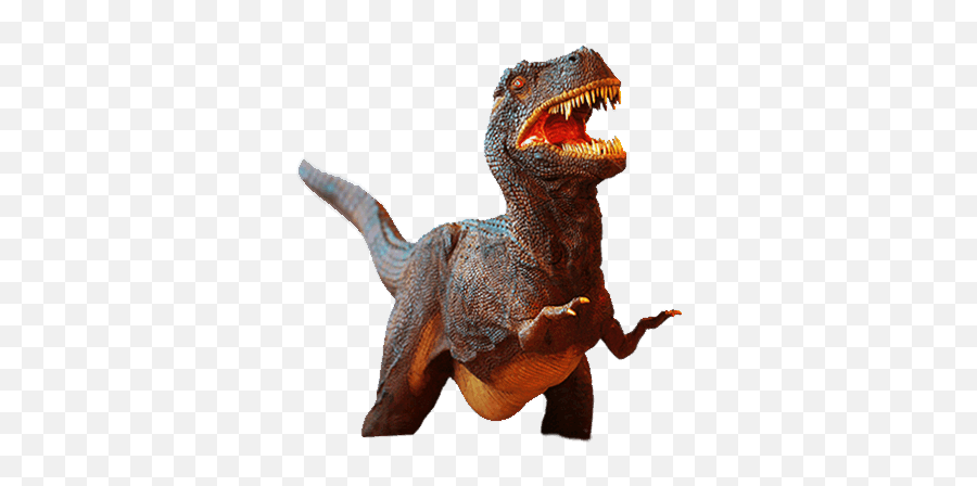 Icon Dinosaur Png Picpng Dino