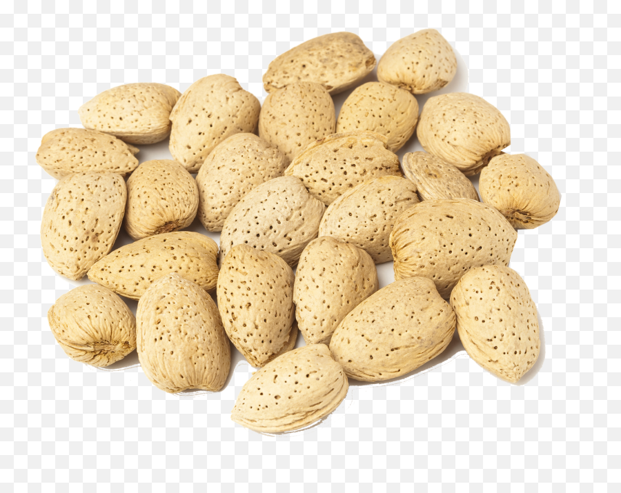 Almonds Png Royalty - Almond,Almonds Png