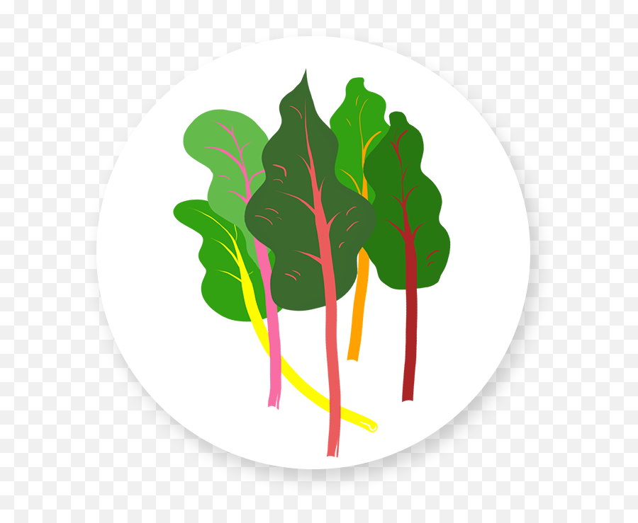 6 Types Of Leafy Greens That Pack A Healthy Punch By Crop Png Leafyishere Icon