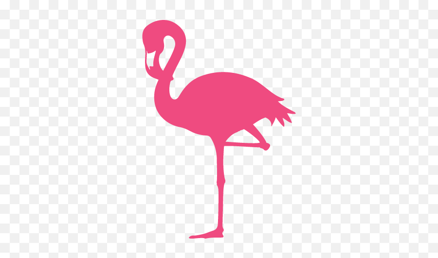 Flamingo Transparent Clear Background - Flamingo Png Transparent Background,Flamingo Transparent Background