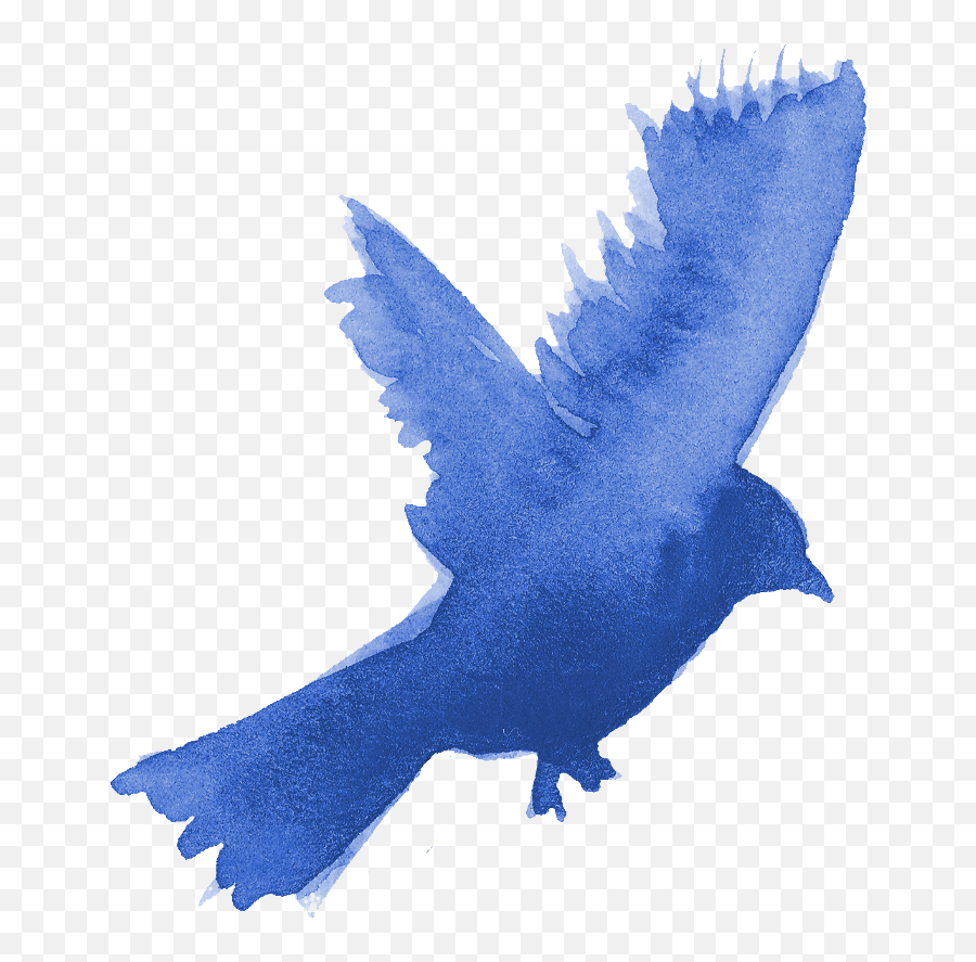 13 Watercolor Bird Silhouette Png Transparent Onlygfxcom - Watercolor Blue Bird Png,Pigeons Png