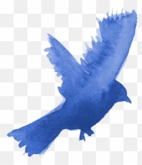 13 Watercolor Bird Silhouette Png Transparent Onlygfxcom - Watercolor Blue Bird Png,Pigeons Png