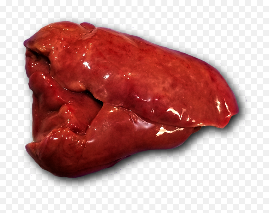 Organ Meats - Liver Png,Liver Png