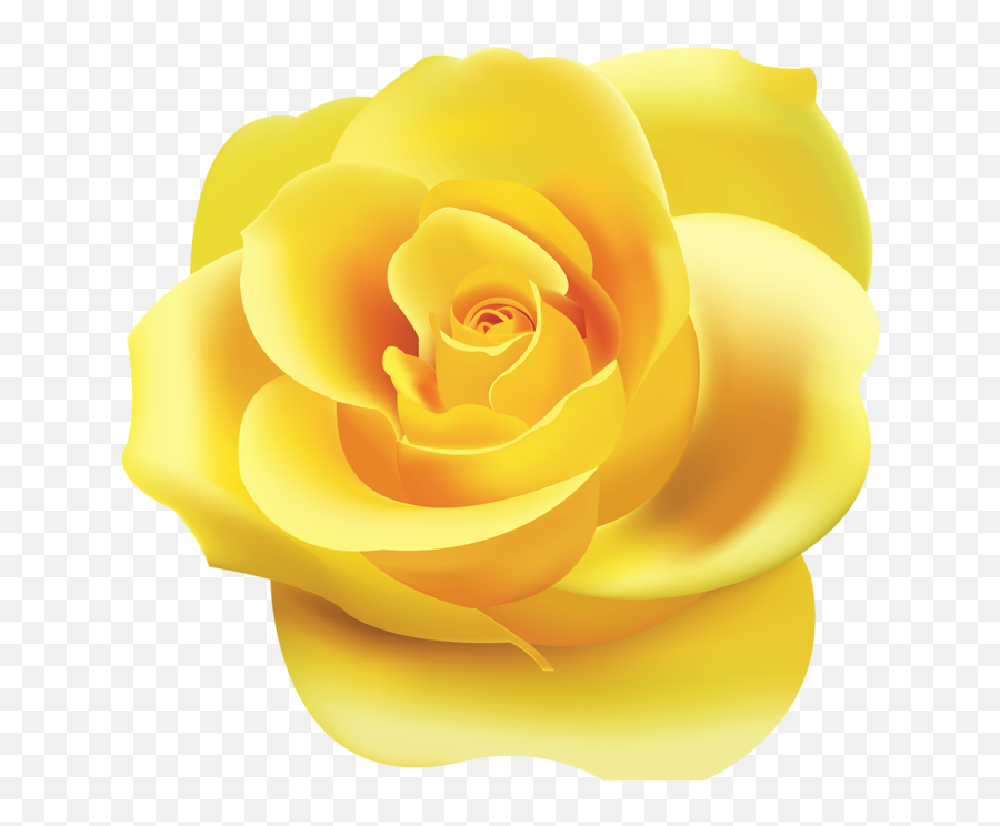 Download Hd Png Roses - Yellow Rose Clipart Png Transparent Yellow Rose Clipart,Rose Clipart Png