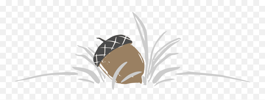 The Bee And Acorn By Paula Susan Wallace - Sailfish Png,Acorn Transparent Background