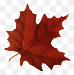 Maple Leaf Clipart Autumn - Fall Gif Transparent Background png