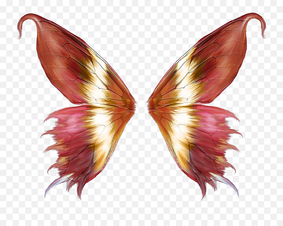Butterfly Wings Png Clipart - Fairy Butterfly Wings Png,Butterfly Wing Png