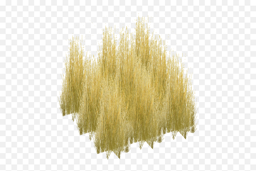 Tall Grass Png - Yellow Grass Transparent Background,Tall Grass Png