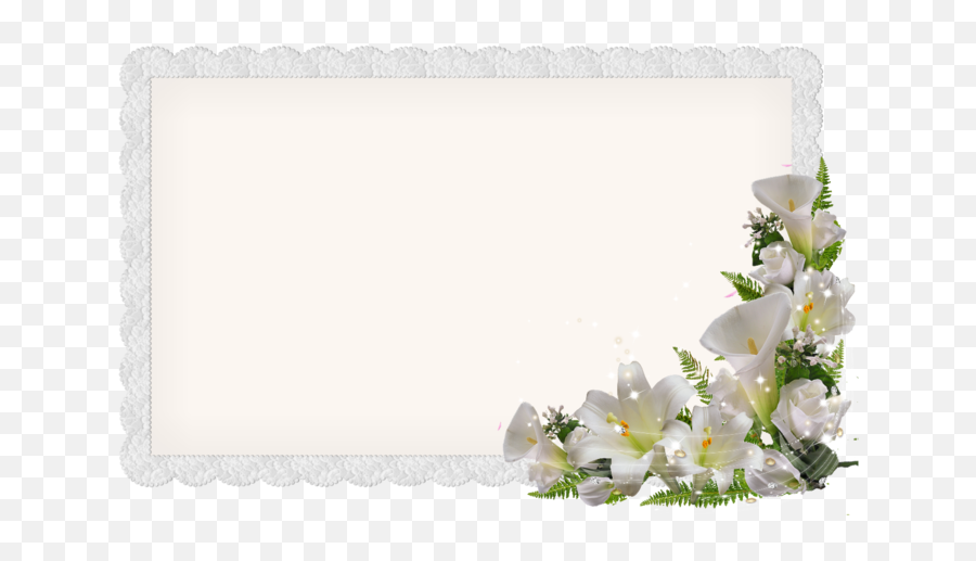 Postcard Png - Easter Lily,Bougainvillea Png