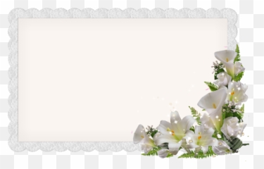 Postcard Png - Easter Lily,Bougainvillea Png