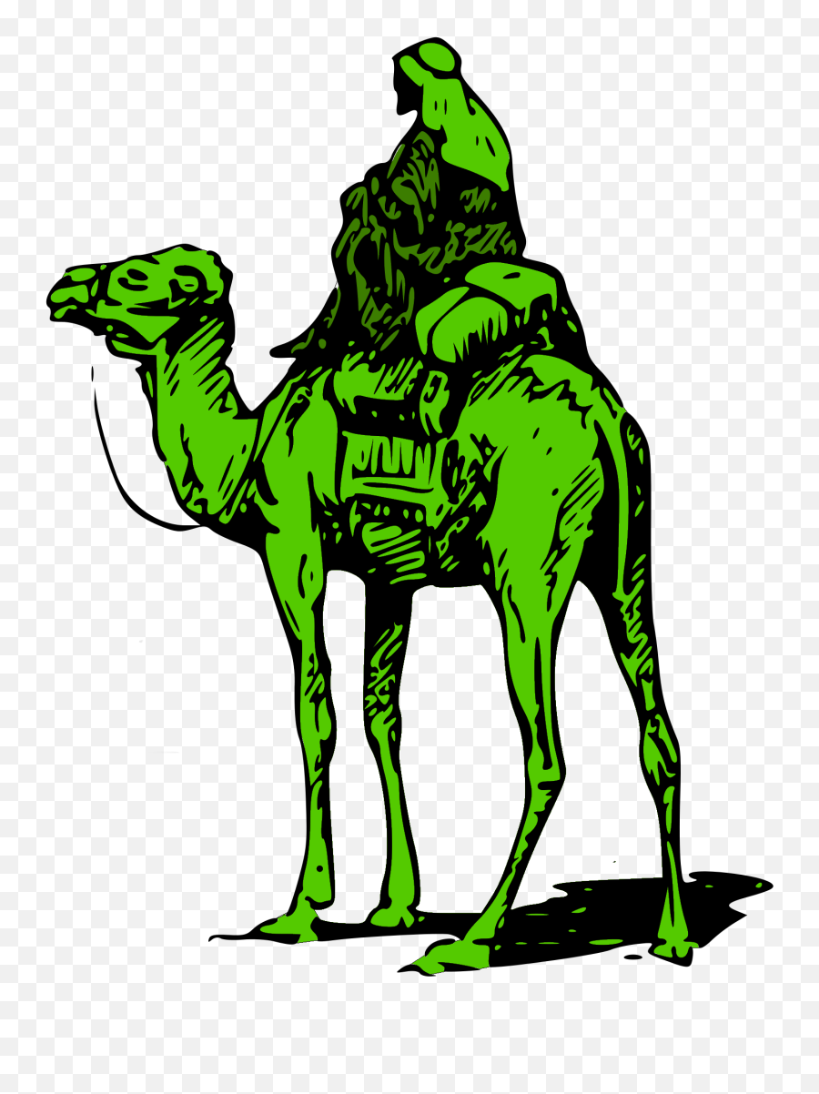 Download United Camel Darknet Bitcoin States Road Silk - Silk Road Logo Png,Silk Png