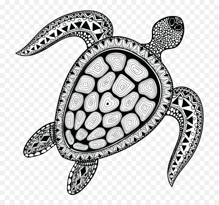 Turtle Clipart Png - Hawksbill Sea Turtle 670814 Vippng Easy Hawksbill Sea Turtle Drawing,Turtle Png