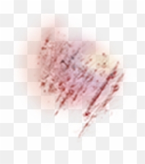 Bruise - Roblox Bruise Png,Bruise Png