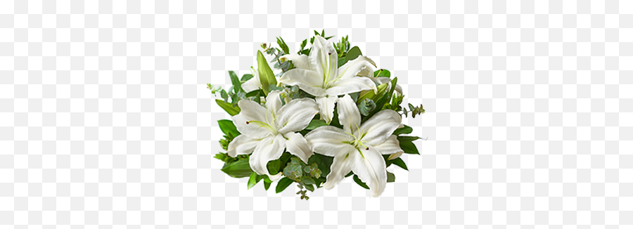 Pixels 345x377 - Funeral Flower Transparent Png,White Lily Png