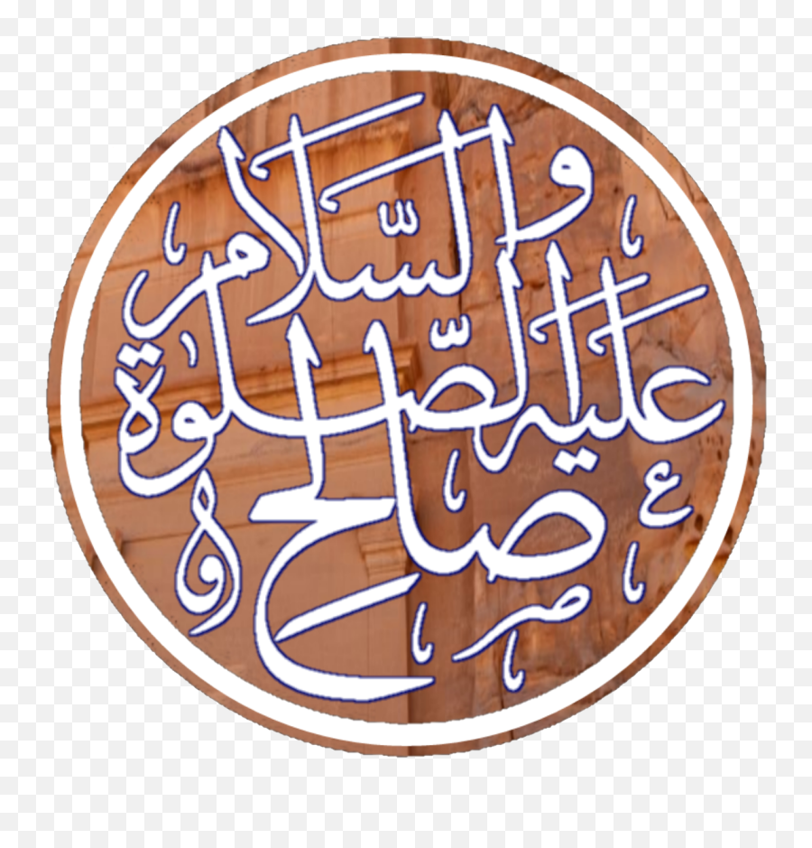 Saleh - Wikipedia Png,Camel Transparent Background