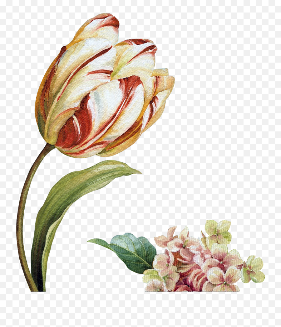 Download Hd Click - Vintage Ivoire Tulip Png,Filigree Png