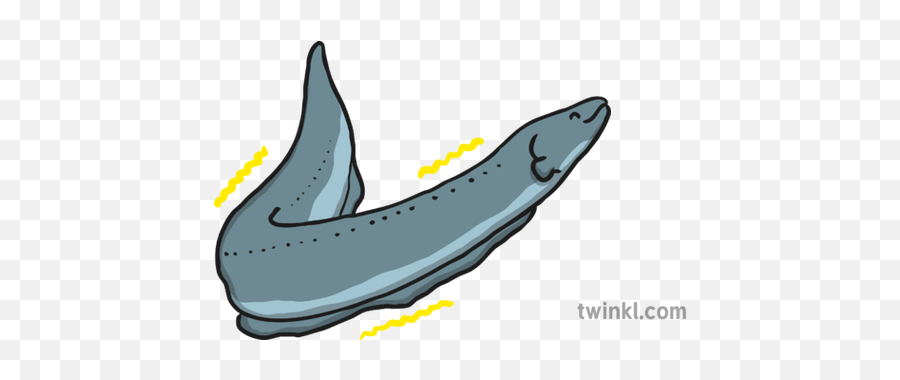 Electric Eel Illustration - Electric Eel Png,Eel Png