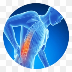 Download Free Png Back Pain Picture - Back Pain Image Png,Pain Png
