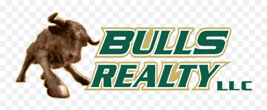 Bulls Realty Png Logo