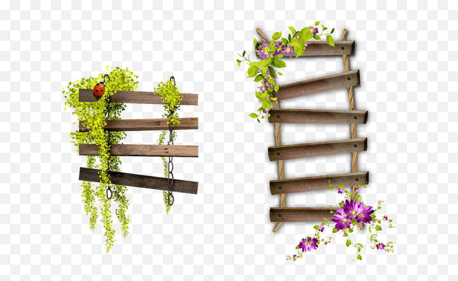 Download Flower Garden Hour Spooky Frame Bench Ladder Hq Png - Ladder,Ladder Png