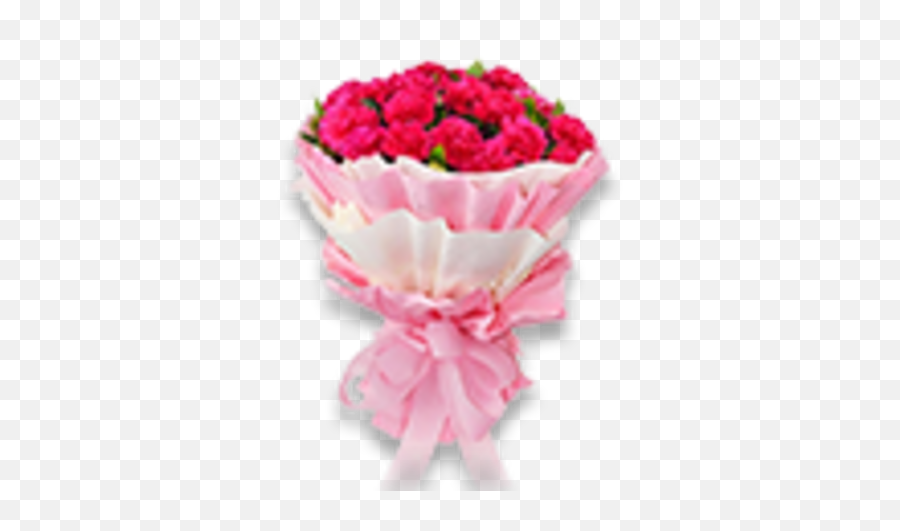 Carnation Love - Flower Happy Teachers Day Gift Png,Carnation Png
