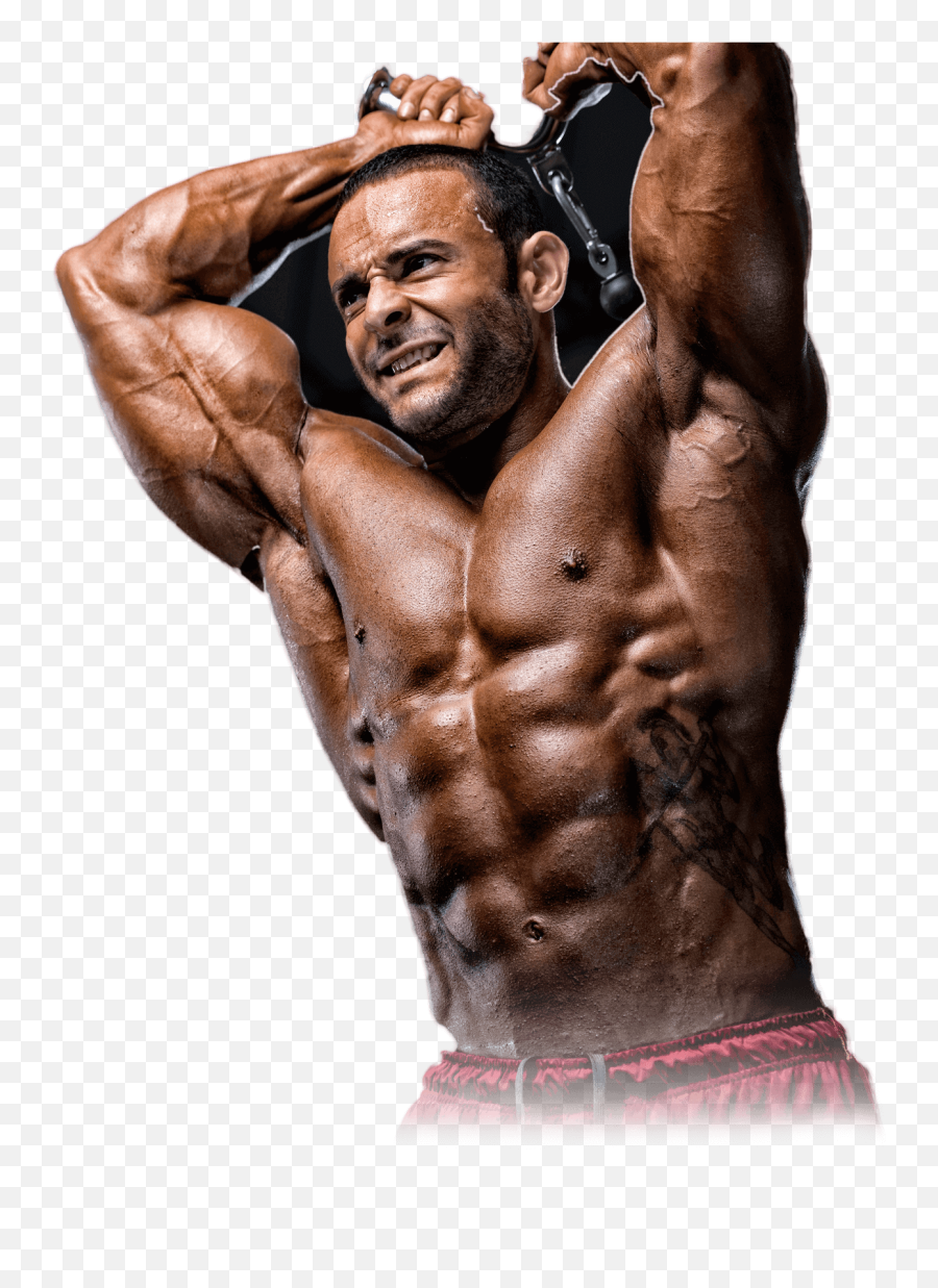 Muscle Build - Select My Plan Fitnessgenes Body Builder Image Download Png,Muscle Png