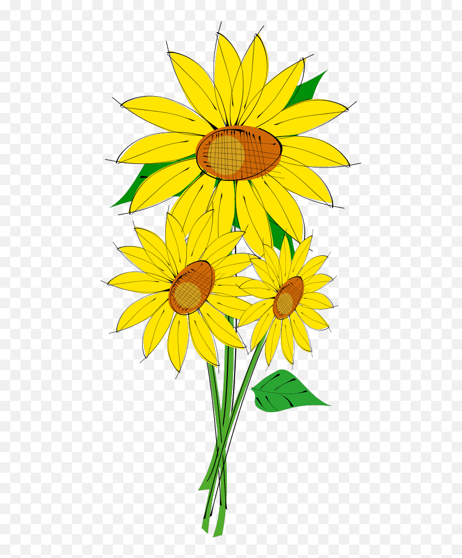 Sunflowers Png Svg Clip Art For Web - Download Clip Art Sunflower Clip Art,Sunflowers Png
