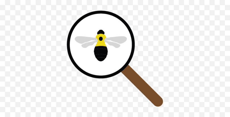 Bumble Bees Of Wisconsin - Bee With Magnifying Glass Png,Bumblebee Icon