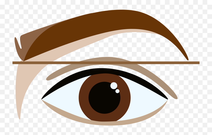 Eyeballs Clipart Eye Care Transparent - Brown Eyebrow Cartoon Png,Red Eye Meme Png