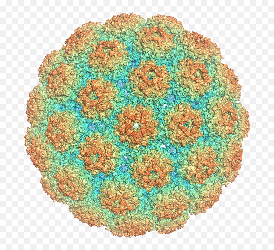 Major Capsid Protein Vp1 - Wikipedia Dot Png,Kda Icon