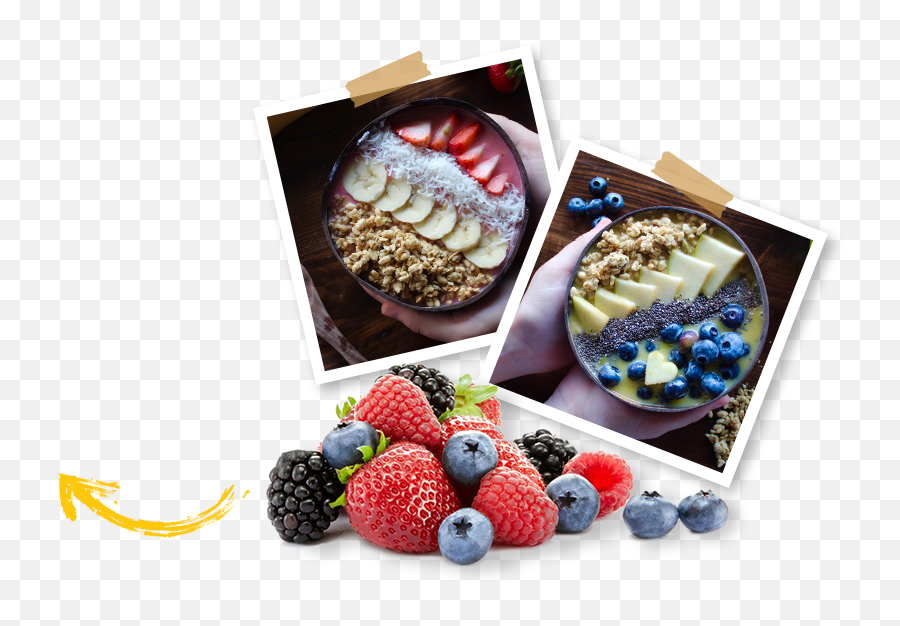 Organic Menu Healthy Salubrious Juice U0026 More Png Acai Bowl Icon